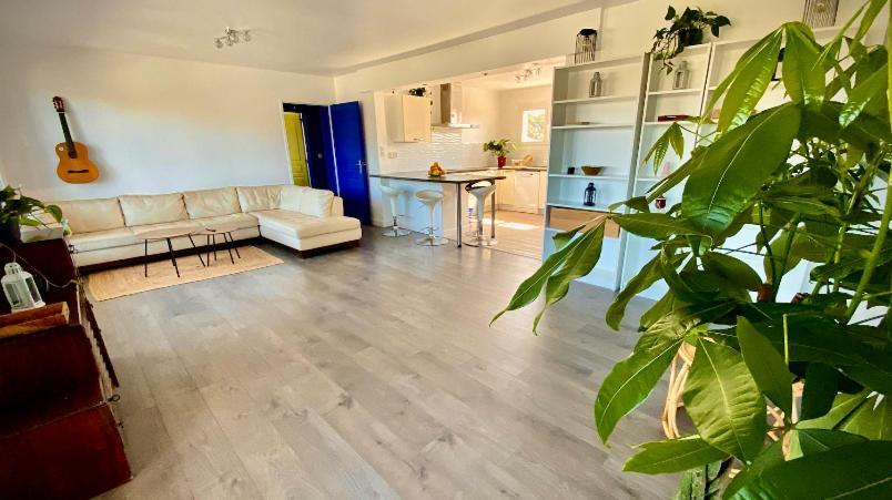 Sewa Surf House 10Min De Capbreton Hossegor 호텔 Bénesse-Maremne 외부 사진